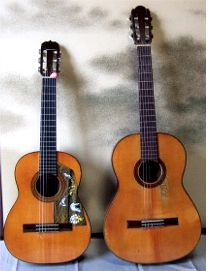 Nakade Requinto y Guitarra